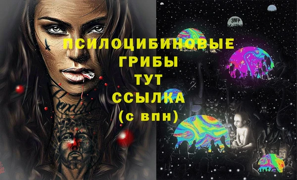 дмт Армянск
