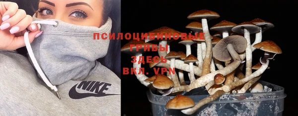 a pvp Арсеньев