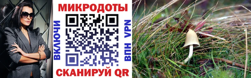Галлюциногенные грибы прущие грибы  как найти закладки  Воронеж 